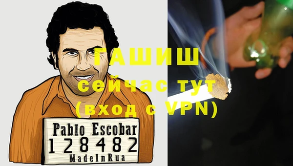 индика Михайлов
