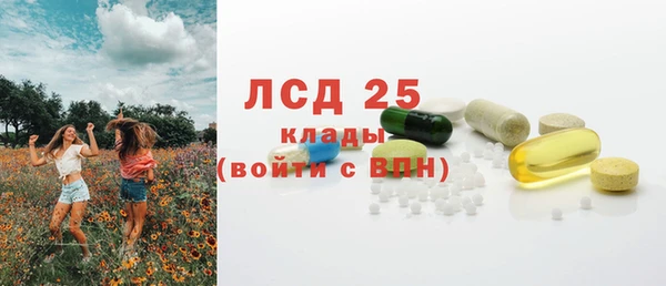 индика Михайлов