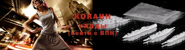 индика Михайлов