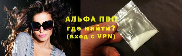 индика Михайлов