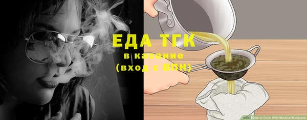 индика Михайлов