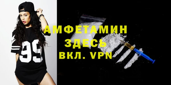 индика Михайлов