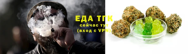индика Михайлов