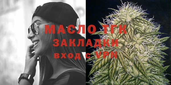 индика Михайлов