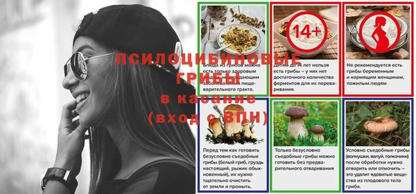 крисы Михайловка